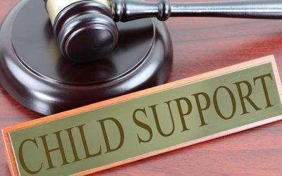 Federal Child Support Guidelines. Amount of Child Support.